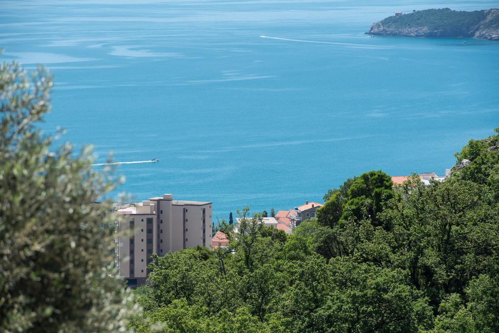 Villa Old Olive 2 Будва Экстерьер фото
